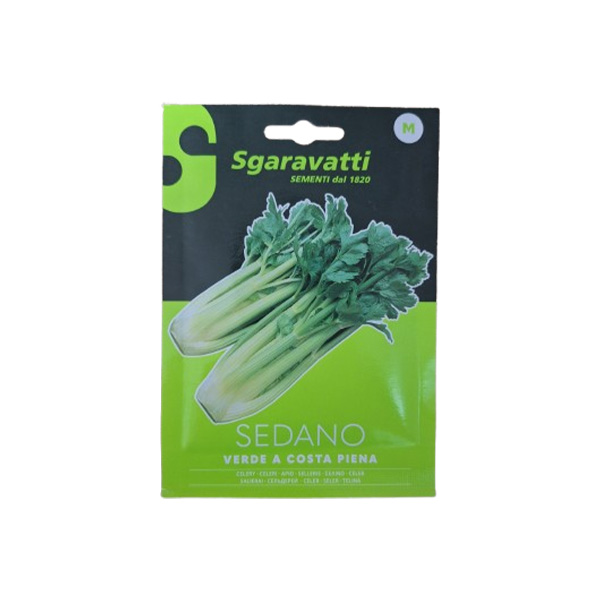 Sgaravatti SED002 Full Ribs Summer Green Celery Seeds – Early Green Celery Variety